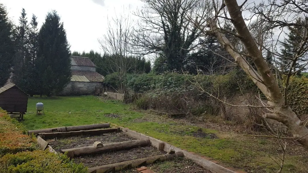 An overgrown garden with old borders and steps before clearance