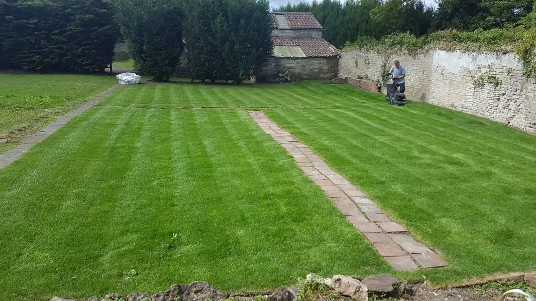 A wide, freshly striped lawn after mowing in a tidy garden
