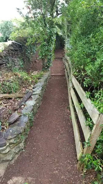 A garden path with clean bark edging and tidied borders