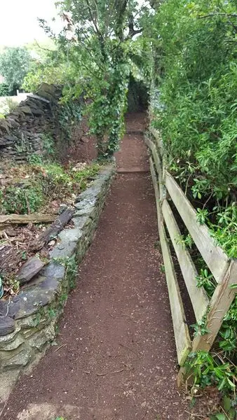 A tidied garden border finished with bark mulch