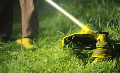 A lawn being cut as part of JDR Garden Services maintenance work